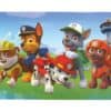 Paw Patrol σουπλά