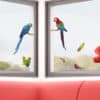 Parrots διακοσμητικά αυτοκόλλητα για τζάμι ή τοίχο